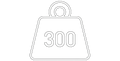 300
GSM